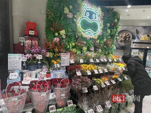 鮮花消費日?；厔菝黠@，武漢時令春花綻放新商機